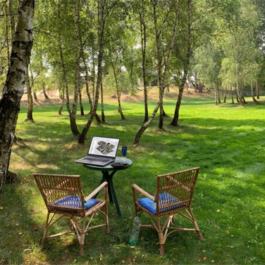 remote_working-376x376.jpg